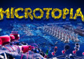 Microtopia