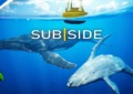 Subside