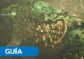 Monster Hunter Wilds - Guia bestiario: Chatacabra