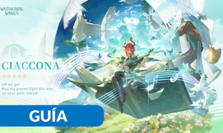 Ciaccona wuthering waves build