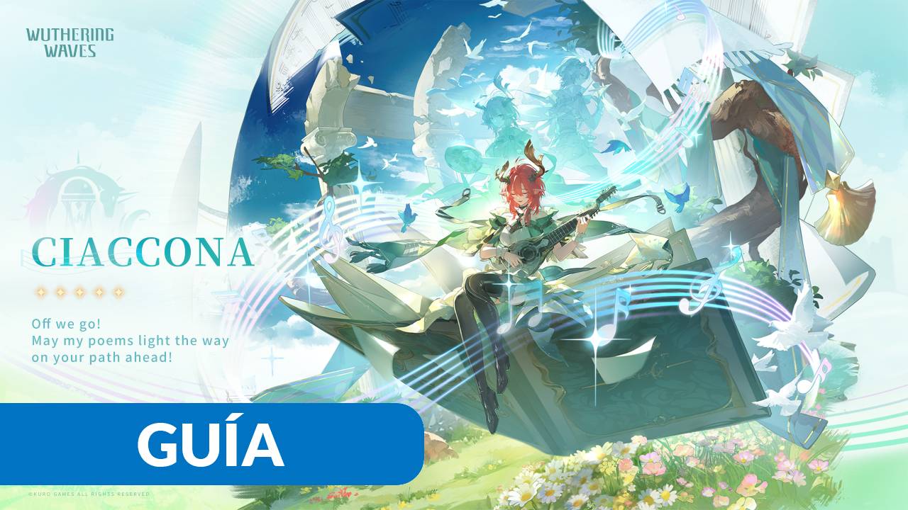 Ciaccona wuthering waves build