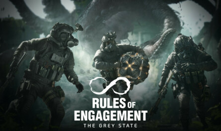 Rules of Engagement: The Grey State